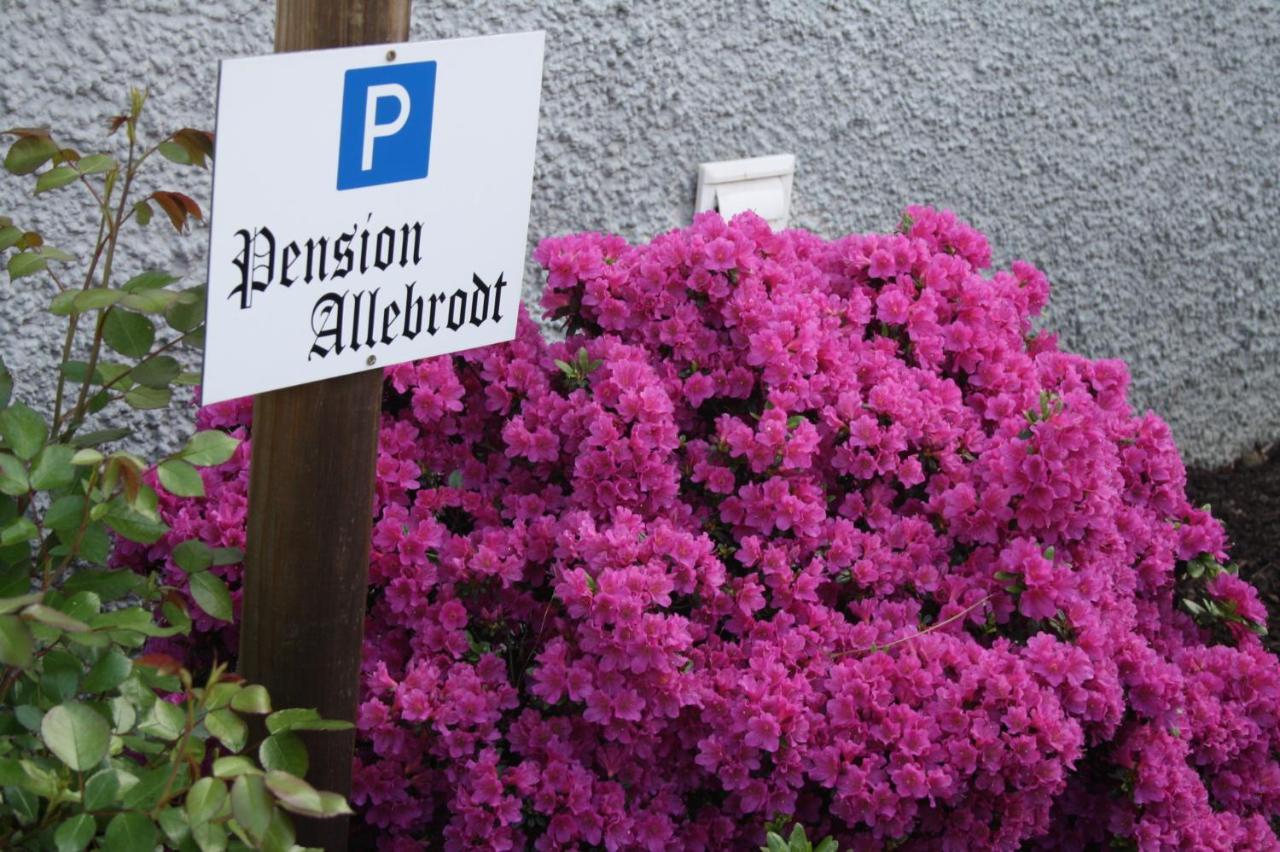 Pension / Ferienwohnung Allebrodt Lennestadt Ngoại thất bức ảnh